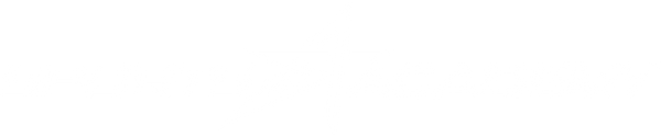 Sports Academy LLC